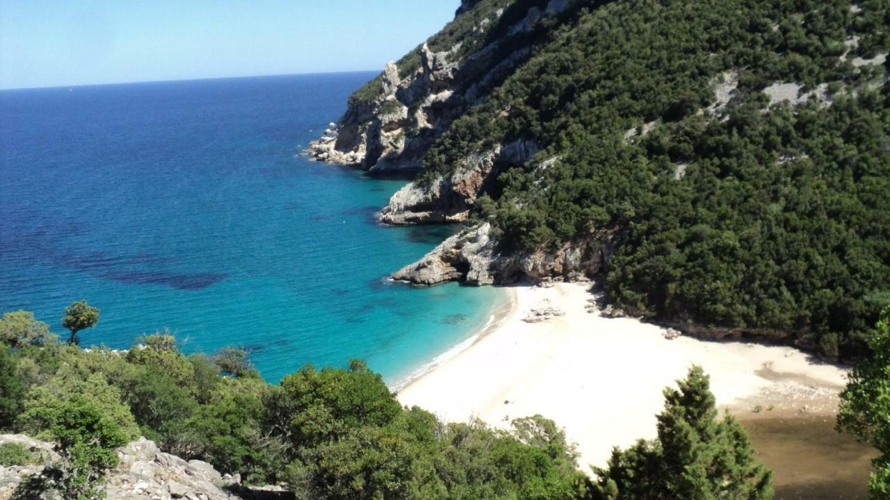 White Rose Suite Apartment Cala Gonone Eksteriør bilde